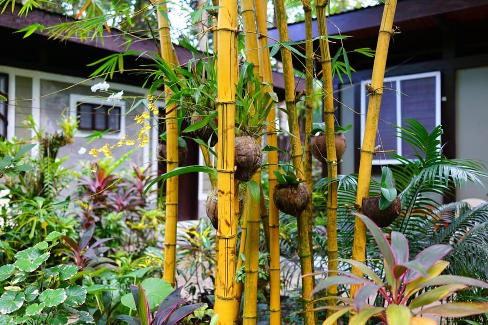 Порт Бартон (Филиппины) 2017 отзыв