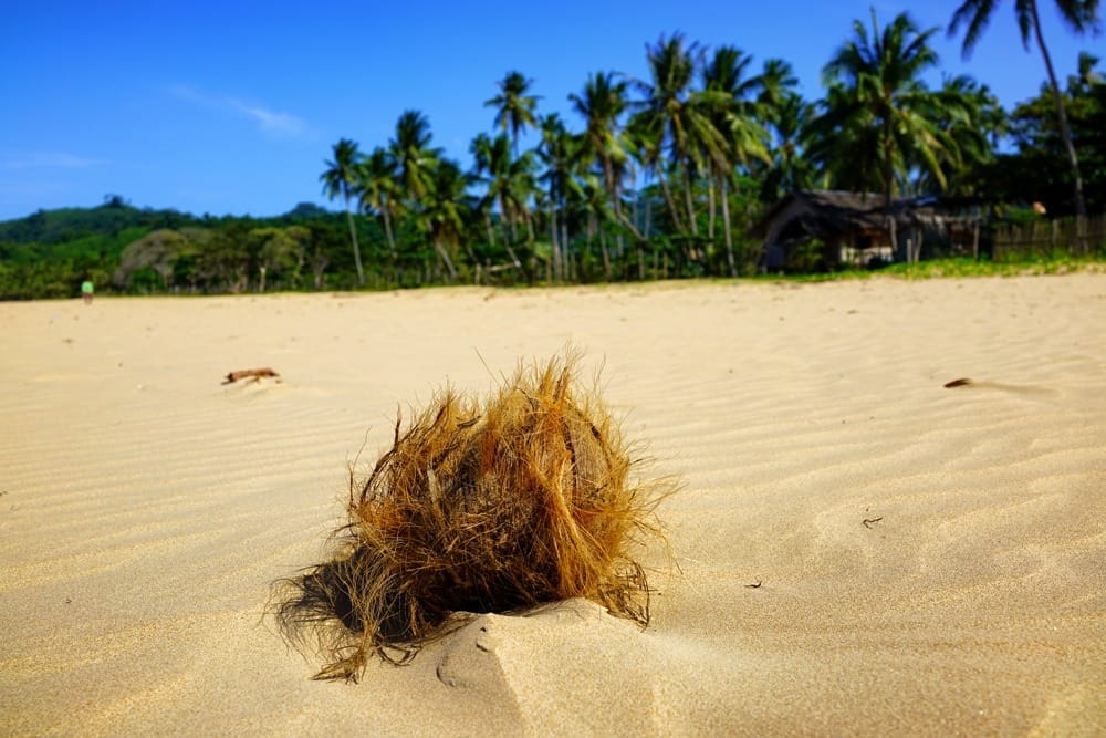 Эль Нидо пляжи отзывы