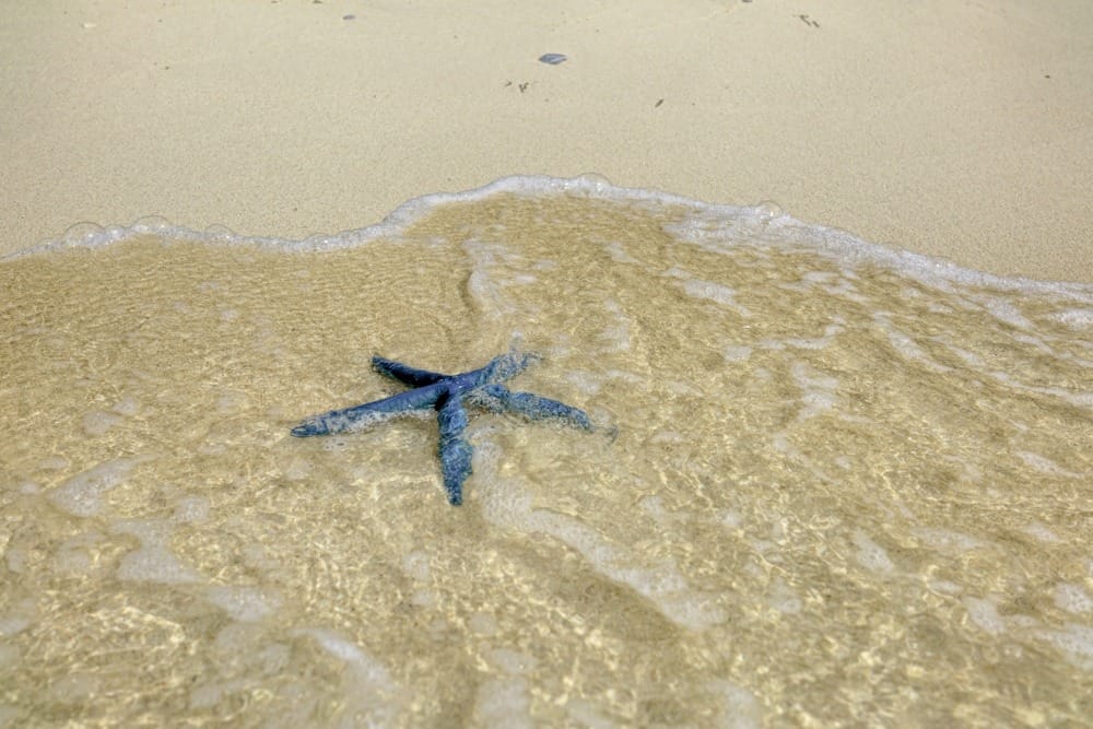 Эль Нидо туры на лодке по островам