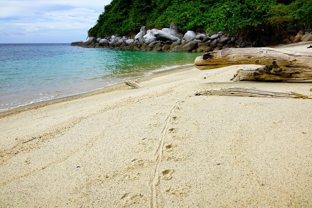 Ко Аданг отзывы