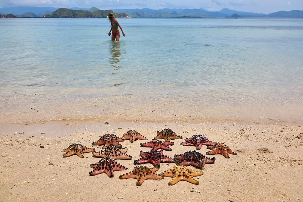 Лучшие пляжи Флорес Лабуан Баджо