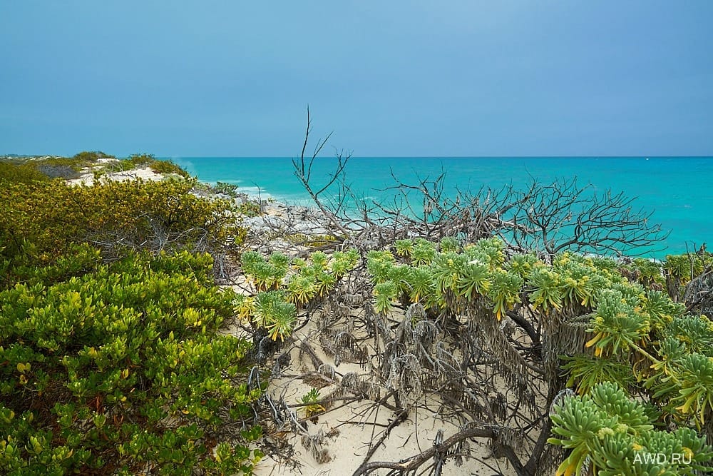 Кайо Ларго Куба