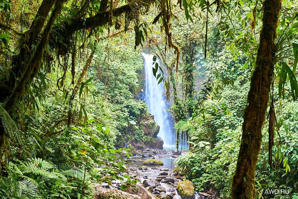 Коста-Рика самостоятельно