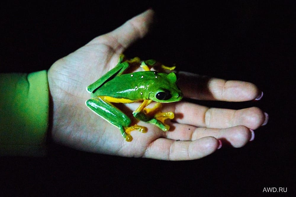 Коста-Рика самостоятельноо