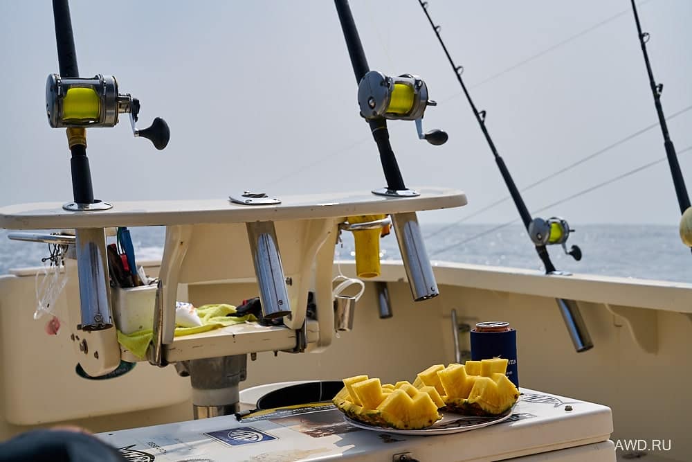 Рыбалка в Коста-Рике