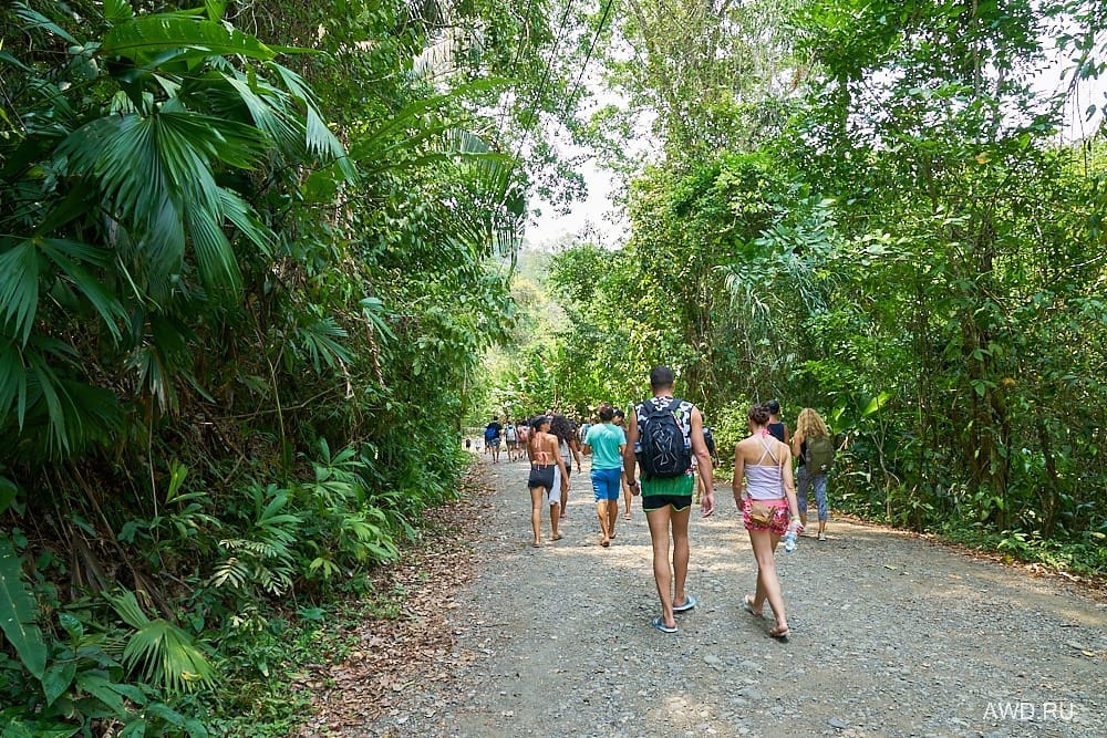 Национальный парк Мануэль Антонио