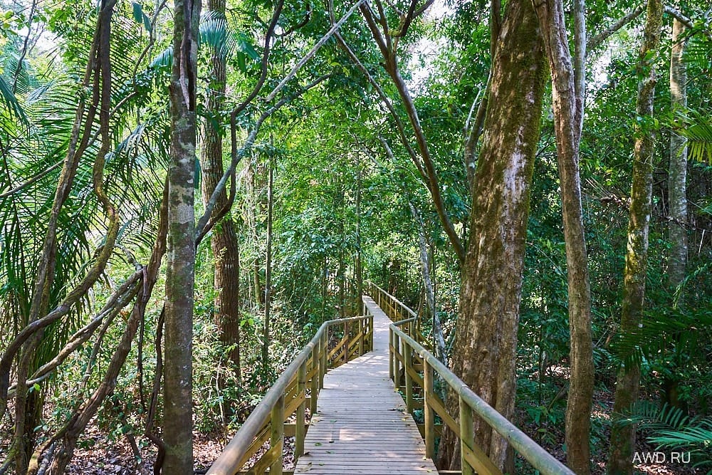 Национальный парк Мануэль Антонио