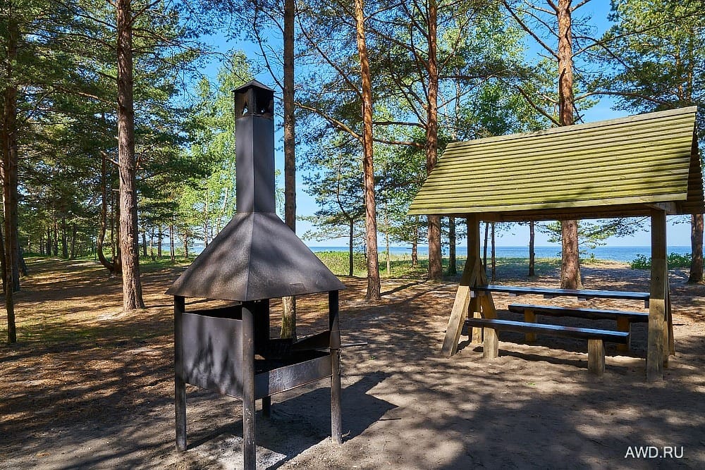 Необычные места в Эстонии