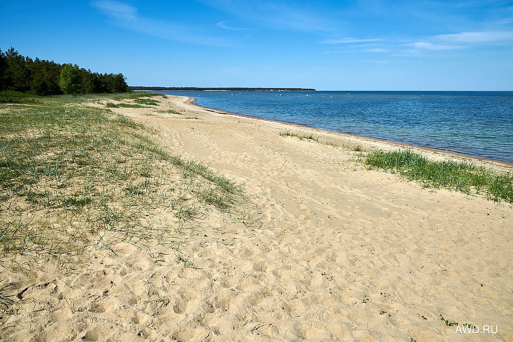 Необычные места в Эстонии