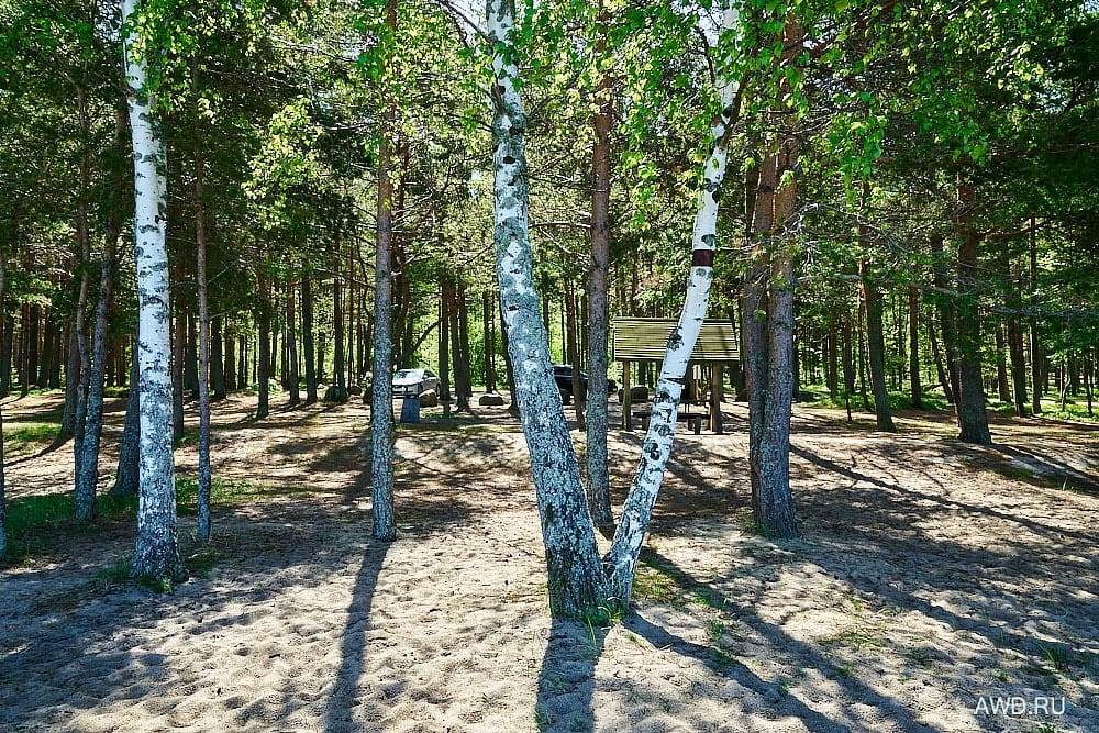 Необычные места в Эстонии