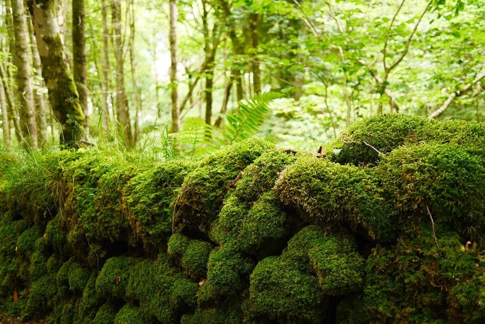 Красивые острова Шотландии