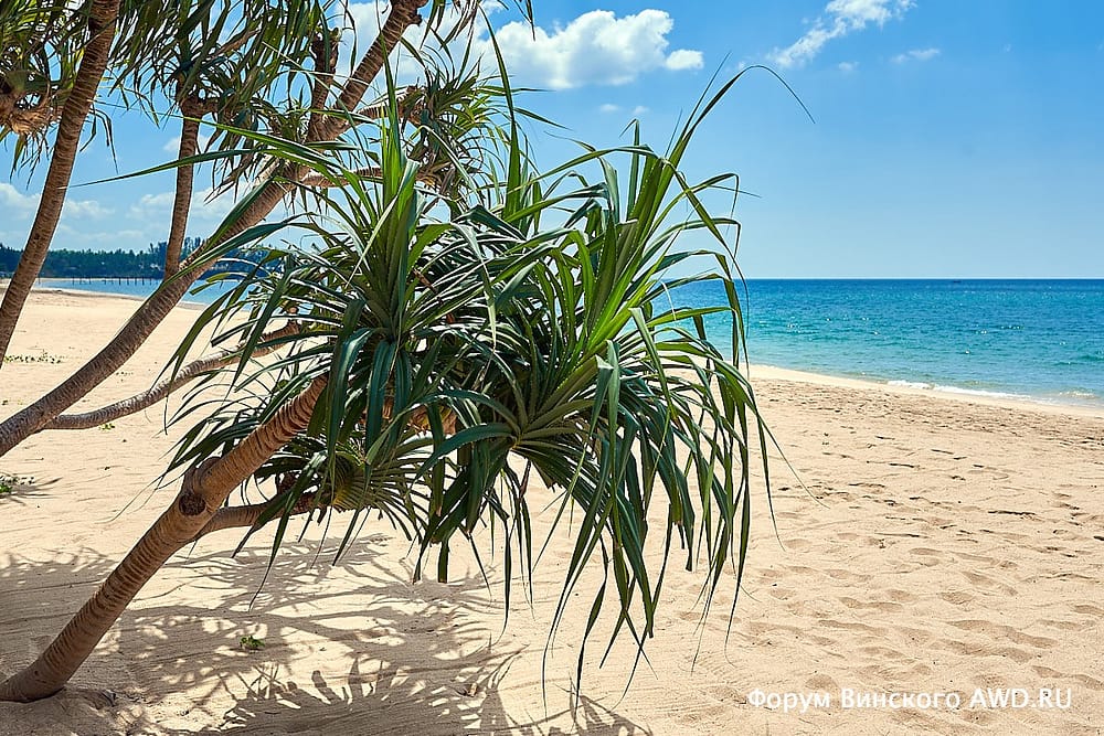 Пилай бич Pilai beach