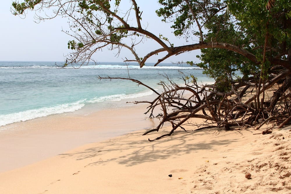 Туры на Шри Ланку
