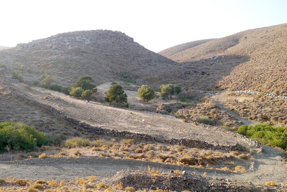 Астипалея отзывы