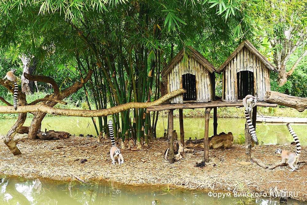 Парк лемуров на острове Нуси-Бе