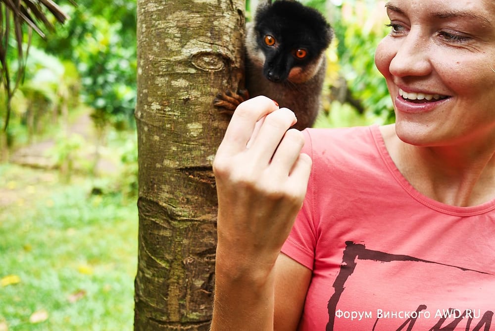 Парк лемуров на острове Нуси-Бе
