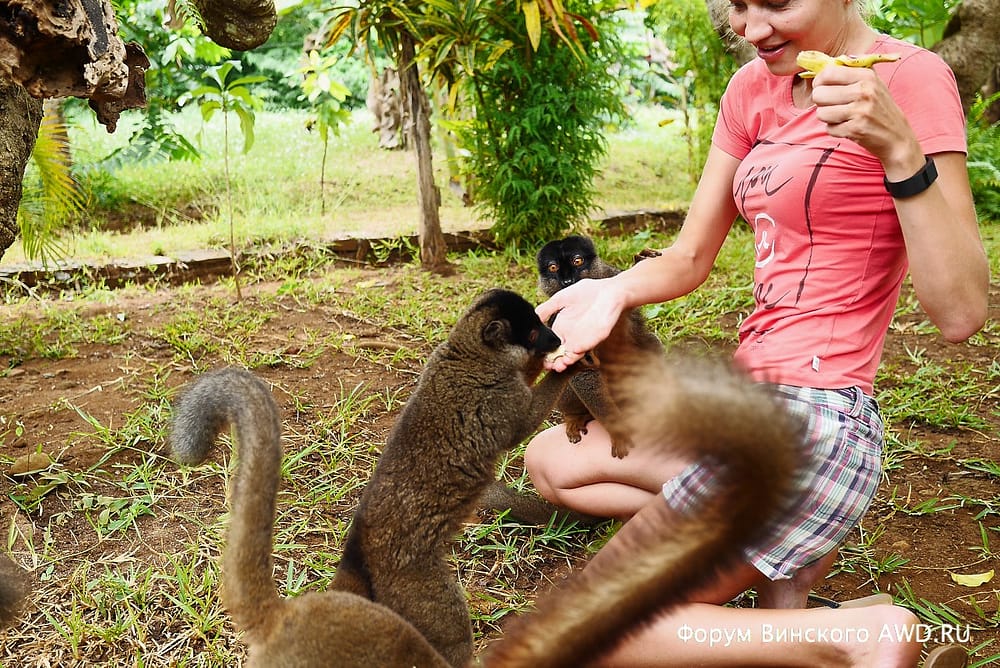 Парк лемуров на острове Нуси-Бе