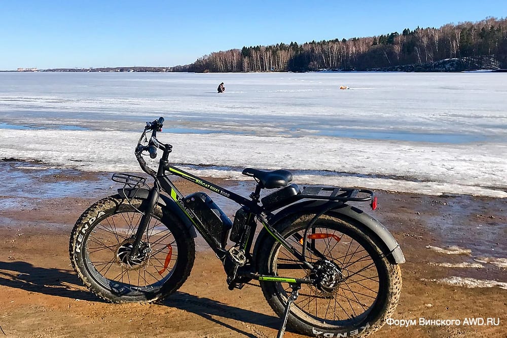 Электро фэтбайк Bigcat Dual 1000