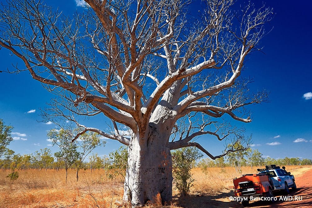 Camping and rest stops in Australia