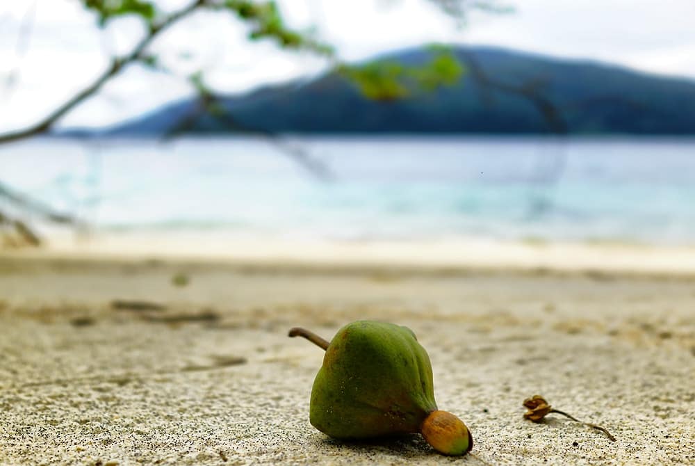 Ко Аданг отзывы