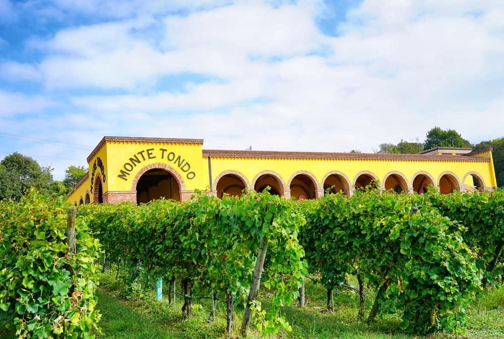 Дегустации в Соаве Италия