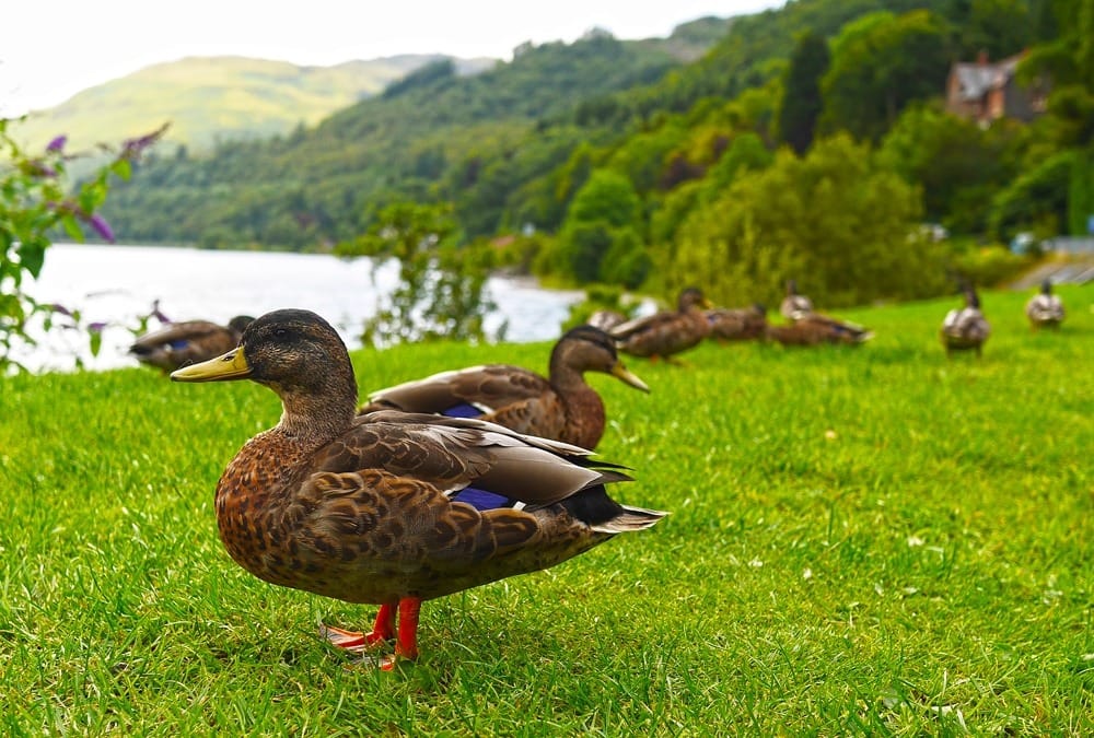 Красивые острова Шотландии