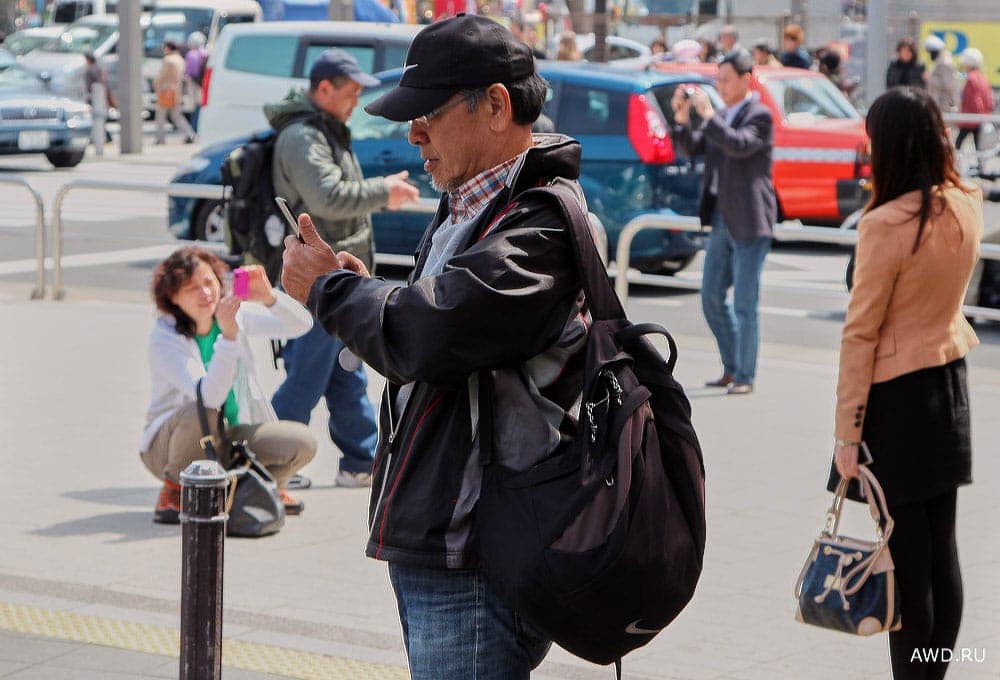 Цветение сакуры в Японии