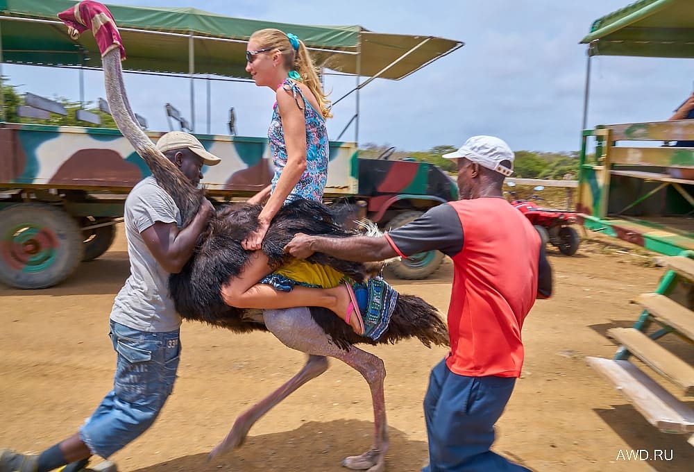 Кюрасао отдых цены