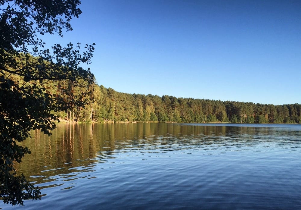 Иммиграция в Литву и ПМЖ