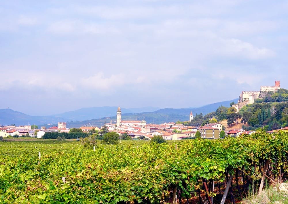 Дегустации в Соаве Италия