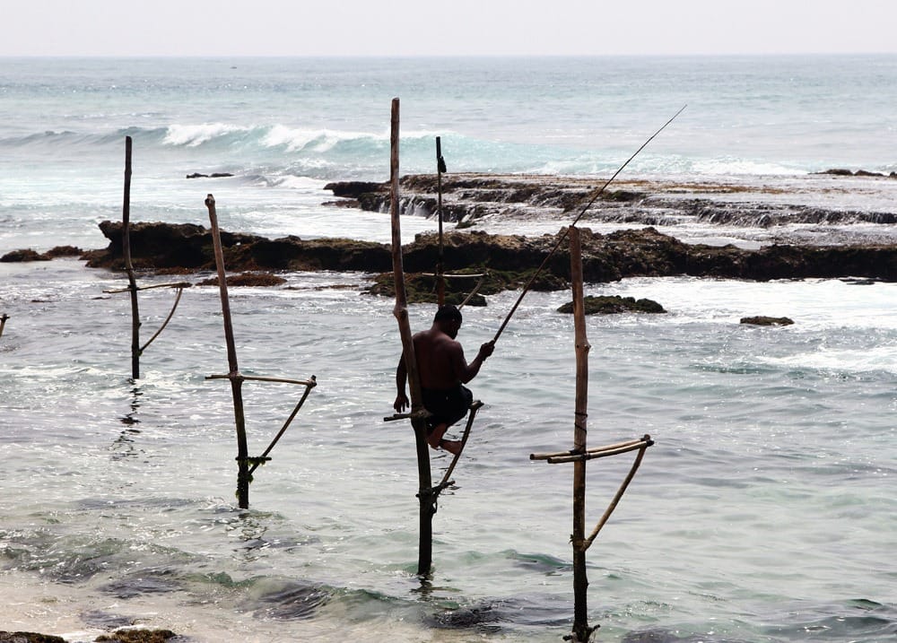 Туры на Шри Ланку