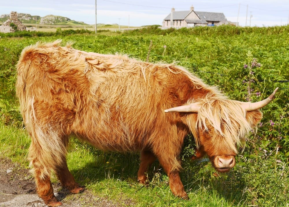 Красивые острова Шотландии