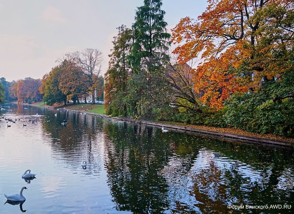 что посмотреть в Брюгге