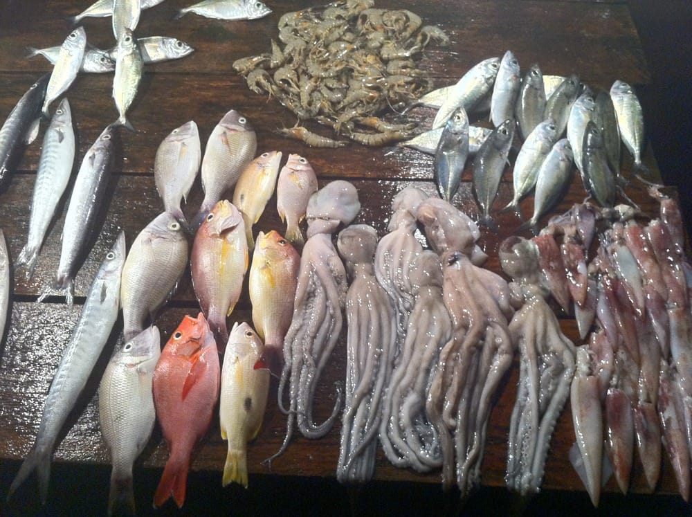 Туры на Шри Ланку