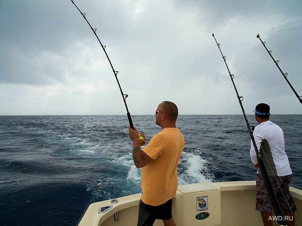 Рыбалка в Коста-Рике