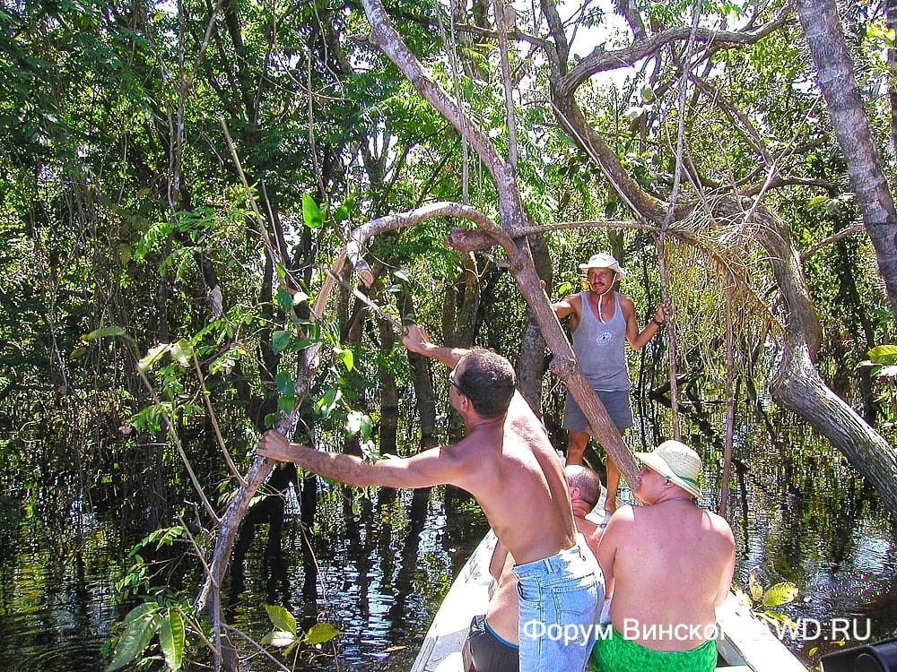 Путешествие по Амазонке в Бразилии