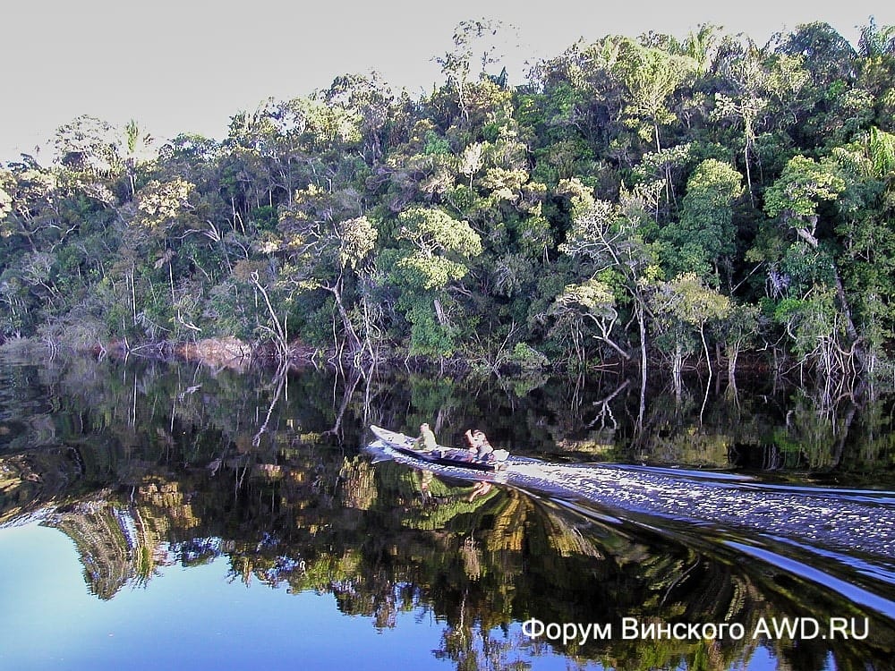 Путешествие по Амазонке в Бразилии