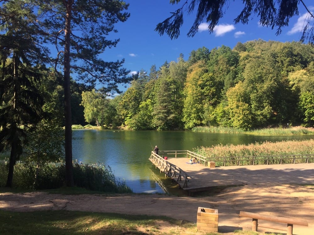 Иммиграция в Литву и ПМЖ