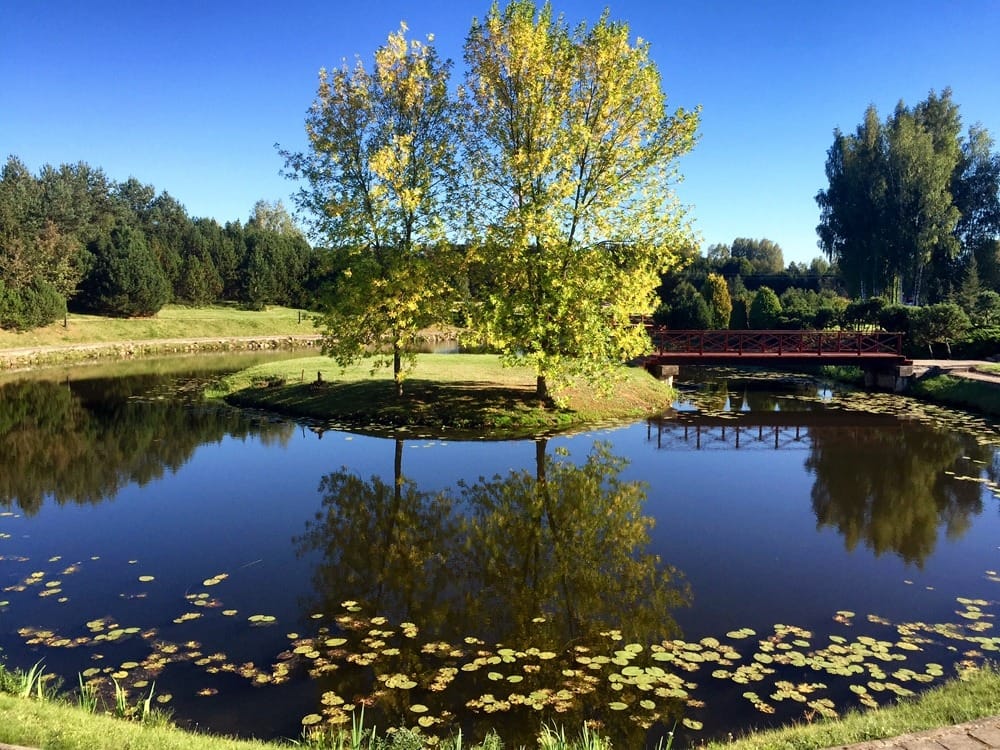 Иммиграция в Литву на ПМЖ