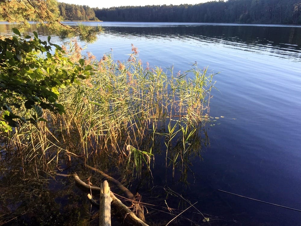 Иммиграция в Литву и ПМЖ