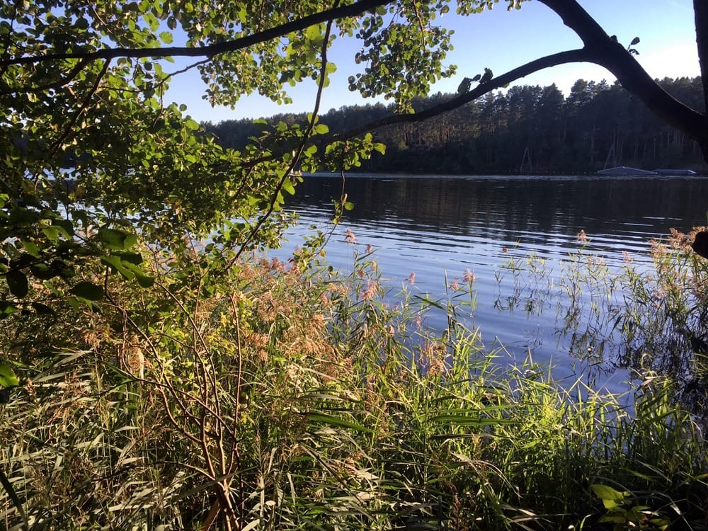 Иммиграция в Литву на ПМЖ