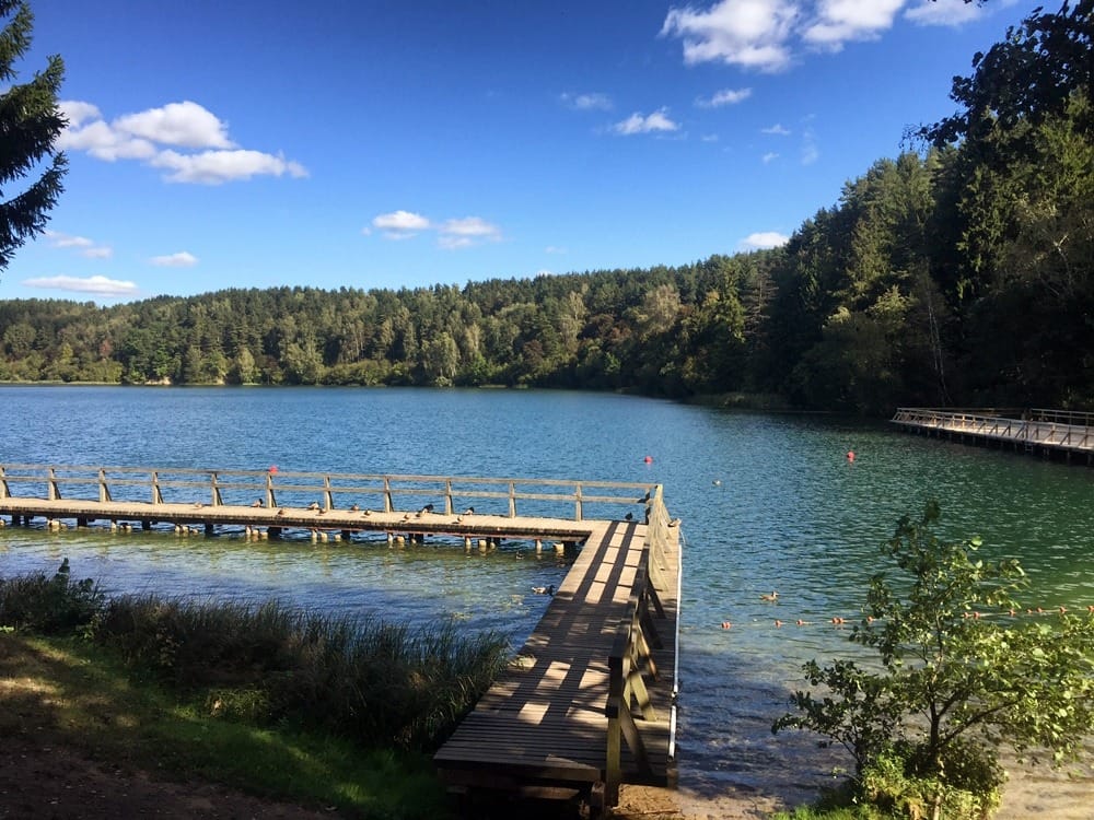 Иммиграция в Литву на ПМЖ