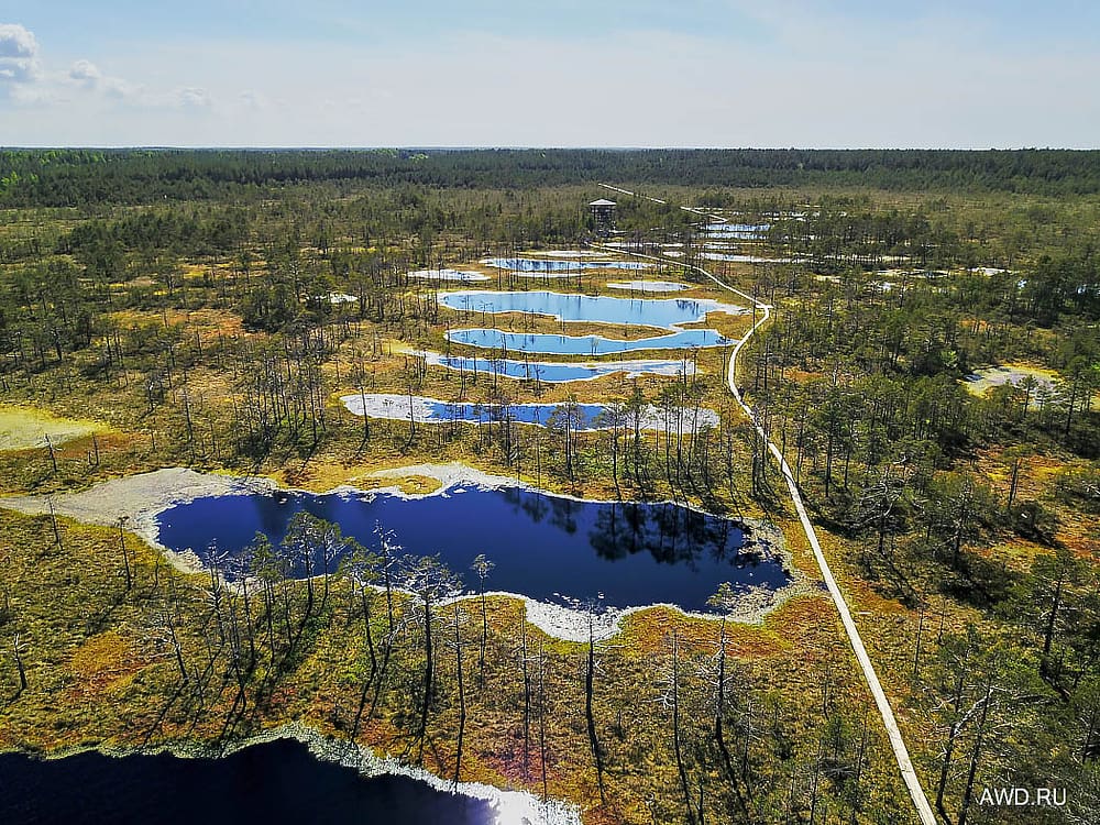 Что посмотреть в Эстонии