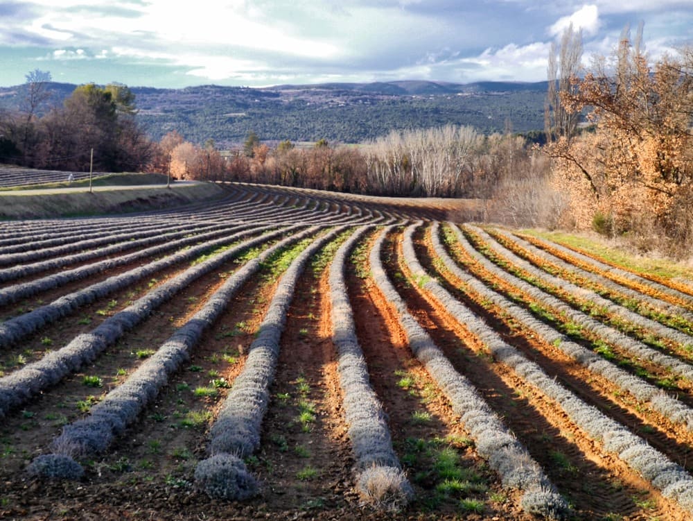 Прованс Франция самостоятельно