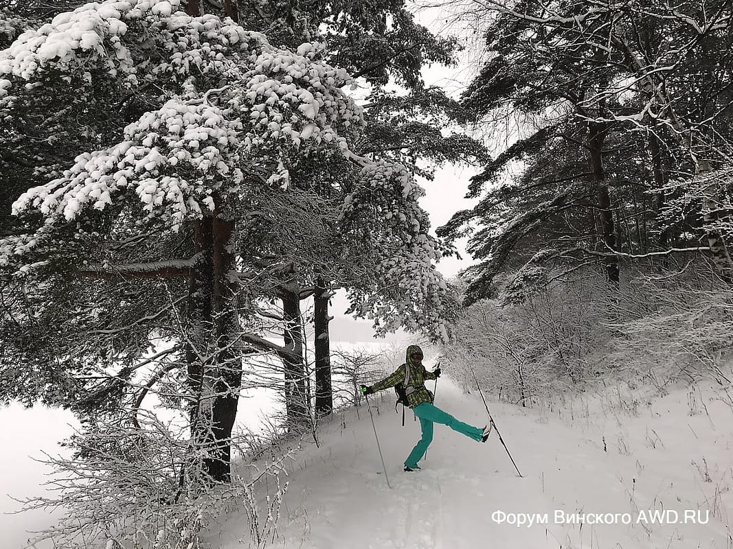 Дача зимой фото