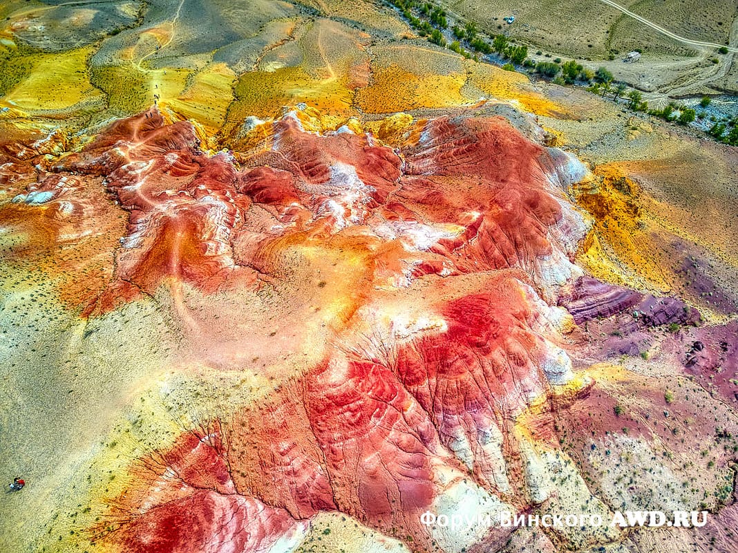 Марсы на Алтае