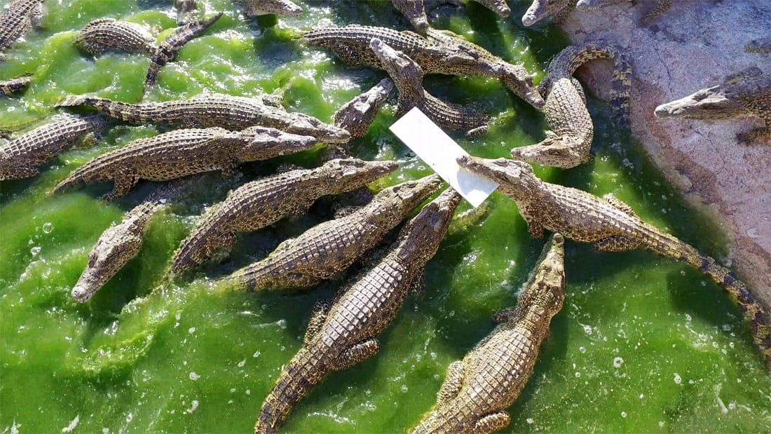 Отзыв об отдыхе на Кубе