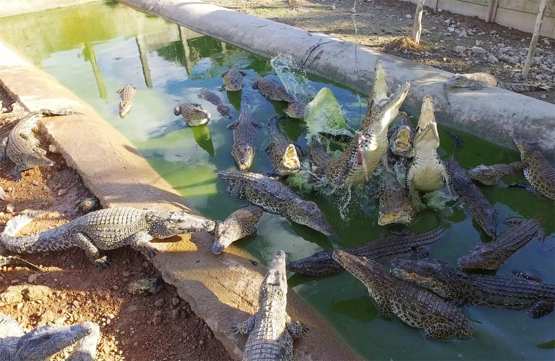 Отзыв об отдыхе на Кубе