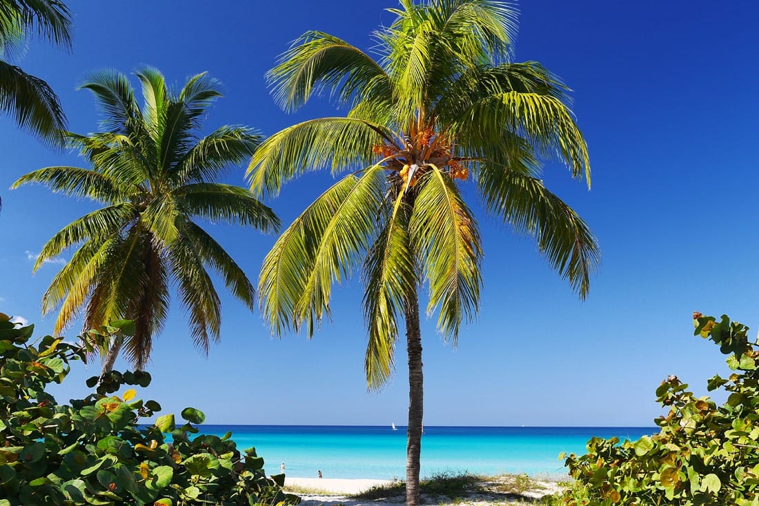 Отзыв об отдыхе на Кубе