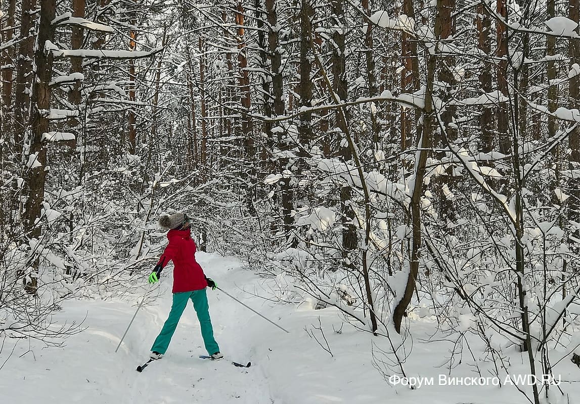 Жизнь на даче плюсы и минусы